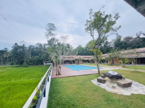 Eco Lux Villas